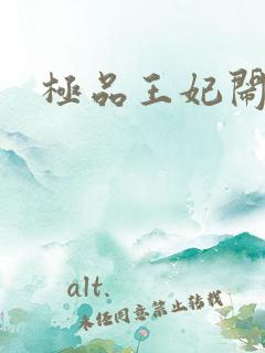 极品王妃闹王府