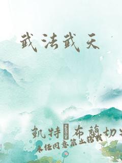 武法武天