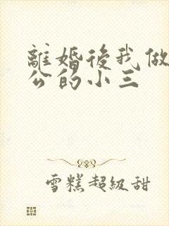 离婚后我做了老公的小三