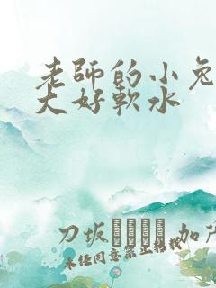 老师的小兔子好大好软水