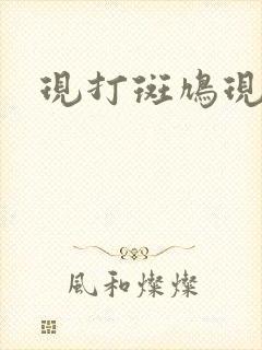 现打斑鸠现钳毛