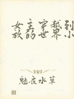 女主穿越到很开放的世界小说