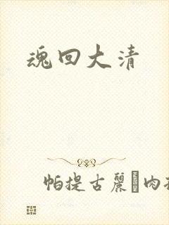 魂回大清