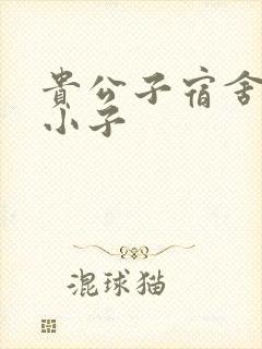 贵公子宿舍的假小子