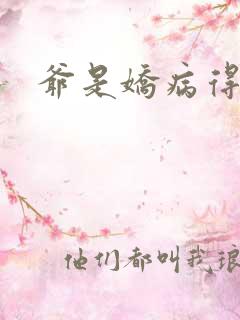 爷是娇病得宠着