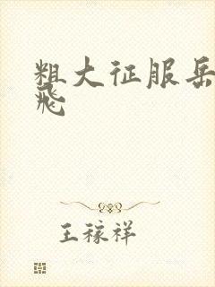 粗大征服岳女双飞