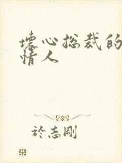 坏心总裁的女佣情人