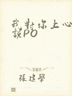 我对你上心了小说PO