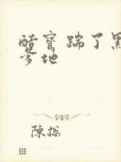 酷宝 踹了黑道爹地