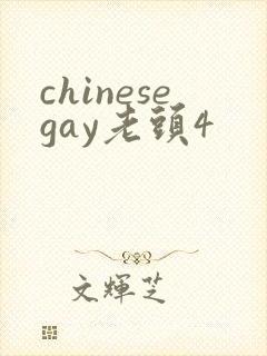 chinesegay老头4