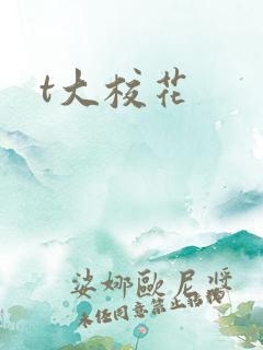t大校花