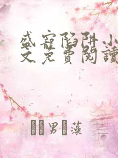 盛宠陷阱小说全文免费阅读