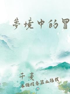 梦境中的冒险家