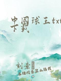 中国球王txt下载