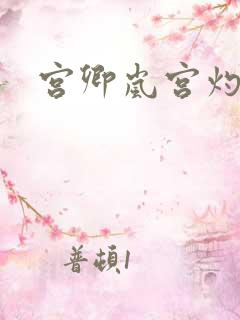 宫卿岚宫灼小说