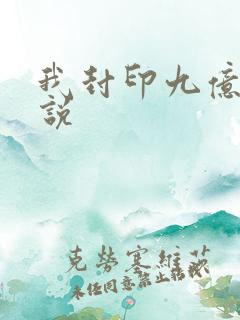 我封印九亿次小说