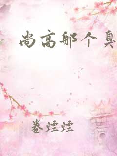 尚高那个臭小子