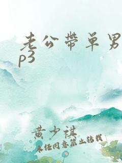 老公带单男回来p3