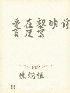 爱在黎明前降落百度云