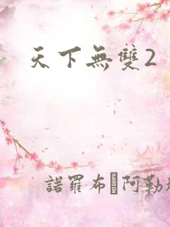 天下无双2