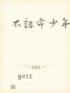 不认命少年向阳