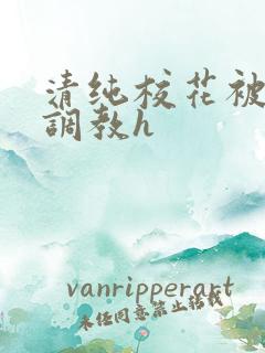 清纯校花被地狱调教h