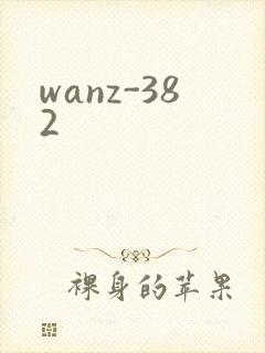 wanz-382