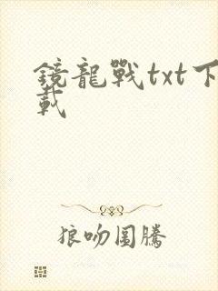镜龙战txt下载