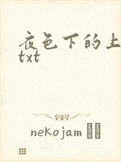 夜色下的上海滩txt