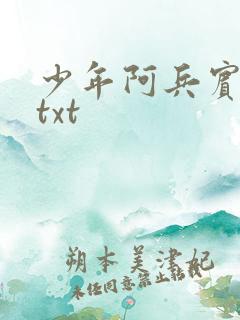少年阿兵宾小说txt