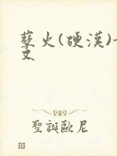 孽火(硬汉)今又