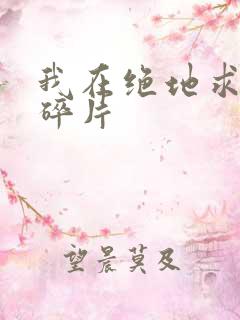 我在绝地求生捡碎片