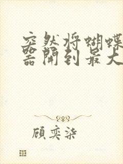 突然将蝴蝶遥控器开到最大