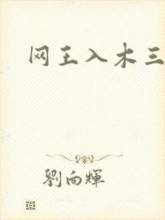 网王入木三分