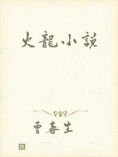 火龙小说
