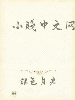 小贱中文网