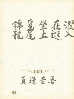 锦觅坐在润玉的龙尾上进入