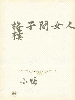 格子间女人19楼