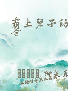 霸上儿子的总裁爸