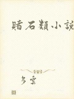赌石类小说