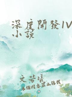 深度开发1V3小说