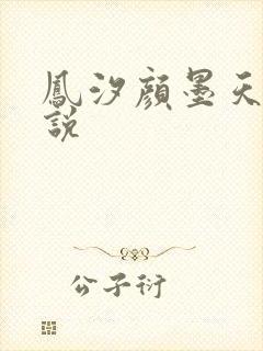 凤汐颜墨天问小说