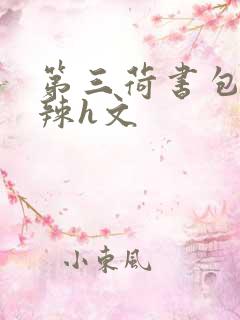 第三荷书包网高辣h文