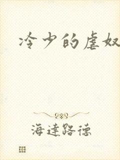 冷少的虐奴