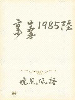重生1985陆少华