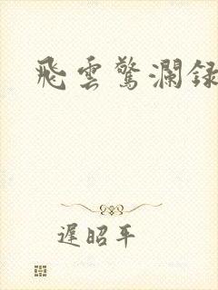 飞云惊澜录
