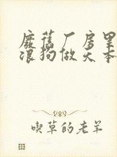 废旧厂房里和流浪狗做天本