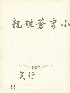 龙破苍穹小说