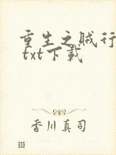 重生之贼行天下 txt下载