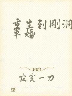 重生到刚洞房的军婚